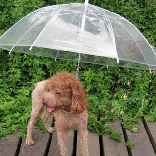 Umbrella Lead Transparent Play Dry Pet Comfort