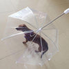 Umbrella Lead Transparent Play Dry Pet Comfort