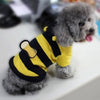 Bumble Bee Wings Fleece Hoody Pet Coat