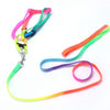 Small Pet Harness Nylon Collar